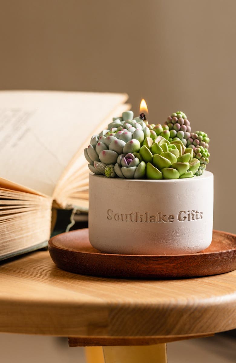 Southlake gifts Assorted Succulent Candle with Concrete Vessel, Alternate, color, Light Gray / Off-White