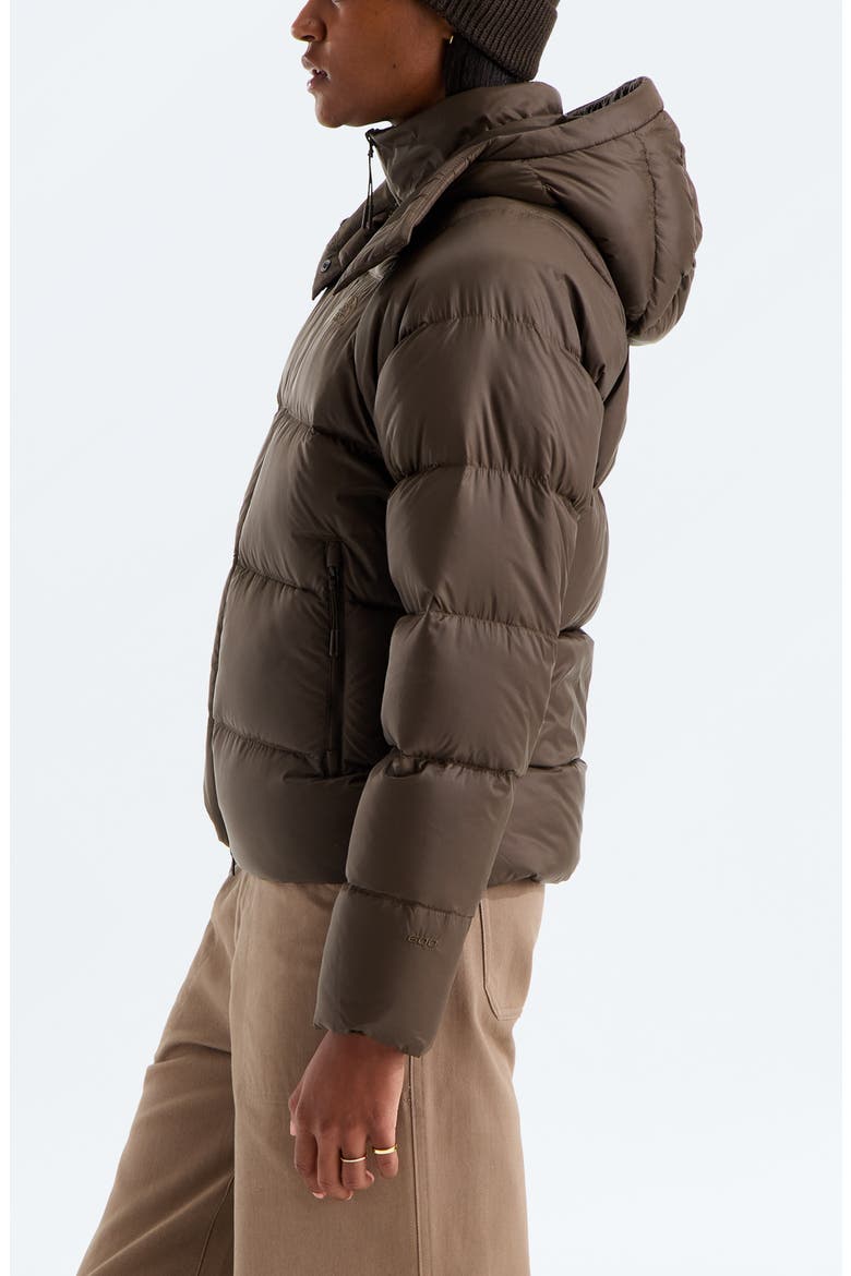 Hydrenalite City Down Hooded Parka, Alternate, color, DARK CHESTNUT