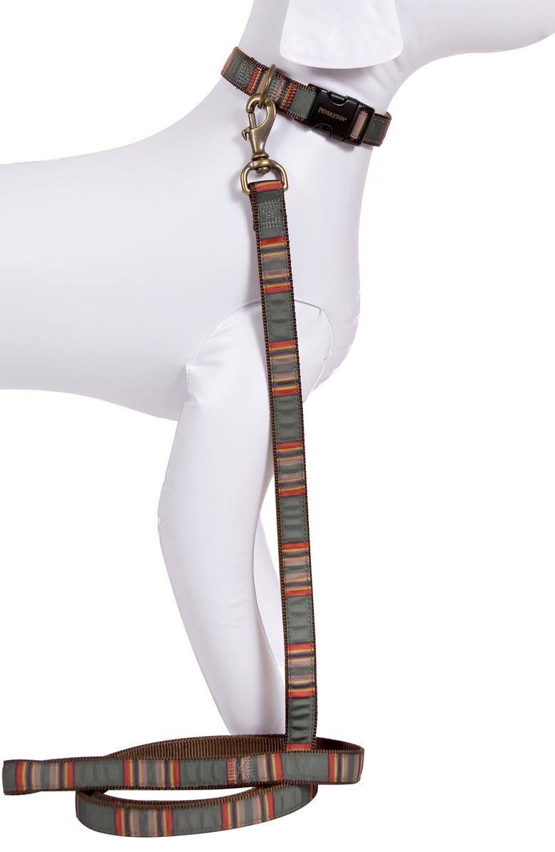 Pendleton Camp Dog Collar, Alternate, color,
