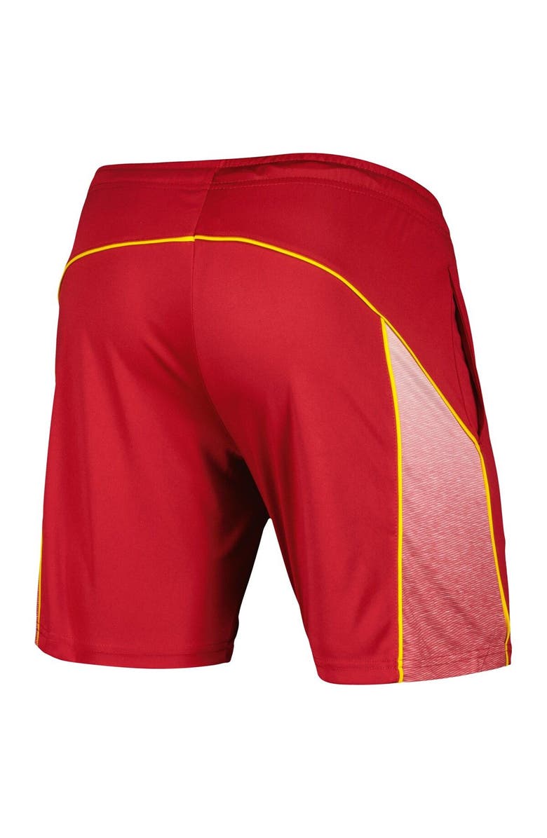 COLOSSEUM Men's Colosseum Cardinal Iowa State Cyclones Laws of Physics Shorts, Alternate, color, 