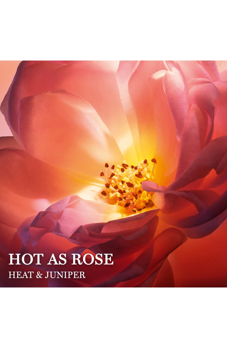 Lancôme Hot as Rose Eau de Parfum, Alternate, color,