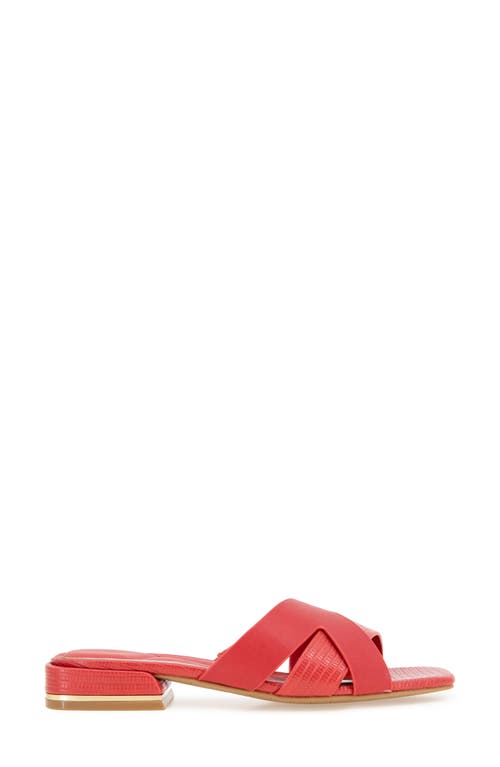 Kenneth Cole Issa Embossed Lizard Sandal In Red Lizard
