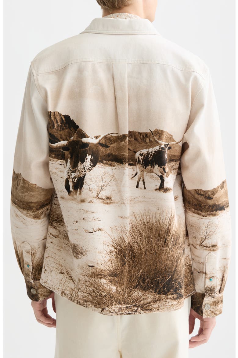 Scenery Button-Up Cotton Overshirt, Alternate, color, LONGHORN SEPIA