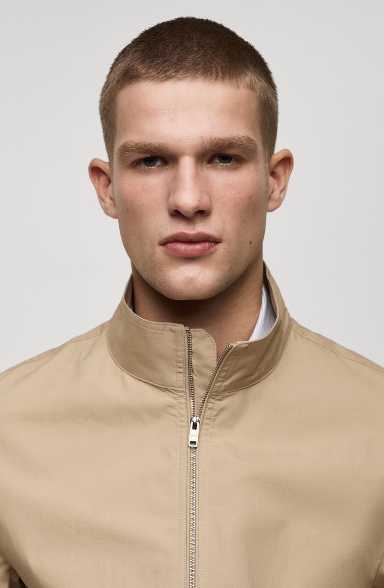 MANGO Lightweight Stand Collar Canvas Jacket, Alternate, color,