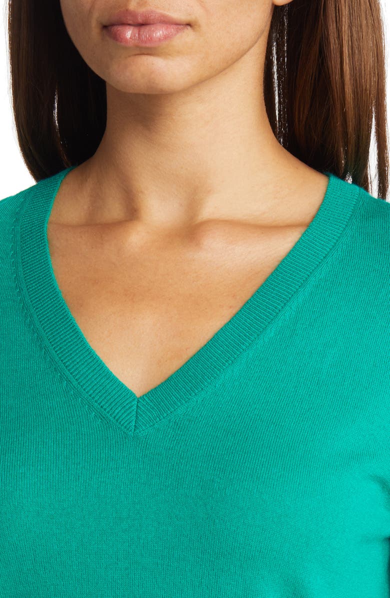 Nordstrom Merino Wool Blend V-Neck Sweater, Alternate, color, 