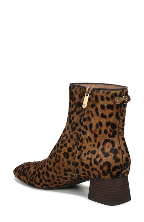 Sam Edelman Paige Bootie In Animal Print