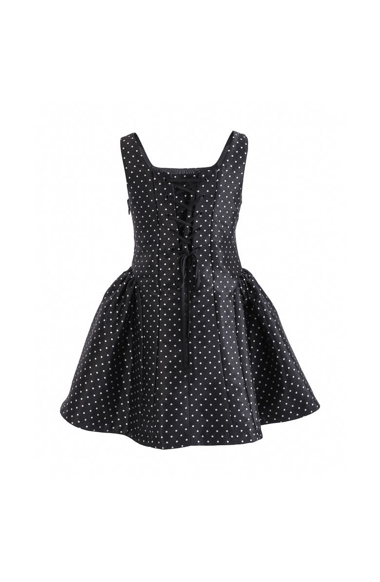Tulleen Calivra Polka Dot Dress, Alternate, color, Black