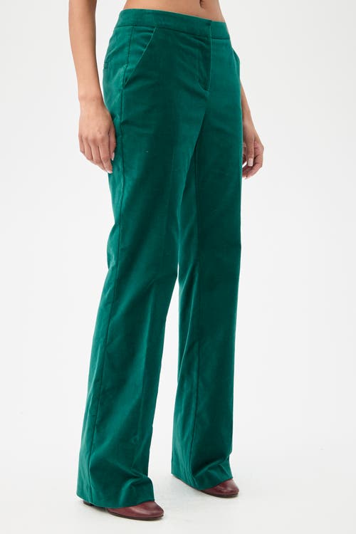 Trina Turk Westport Velvet Wide Leg Pant In Green