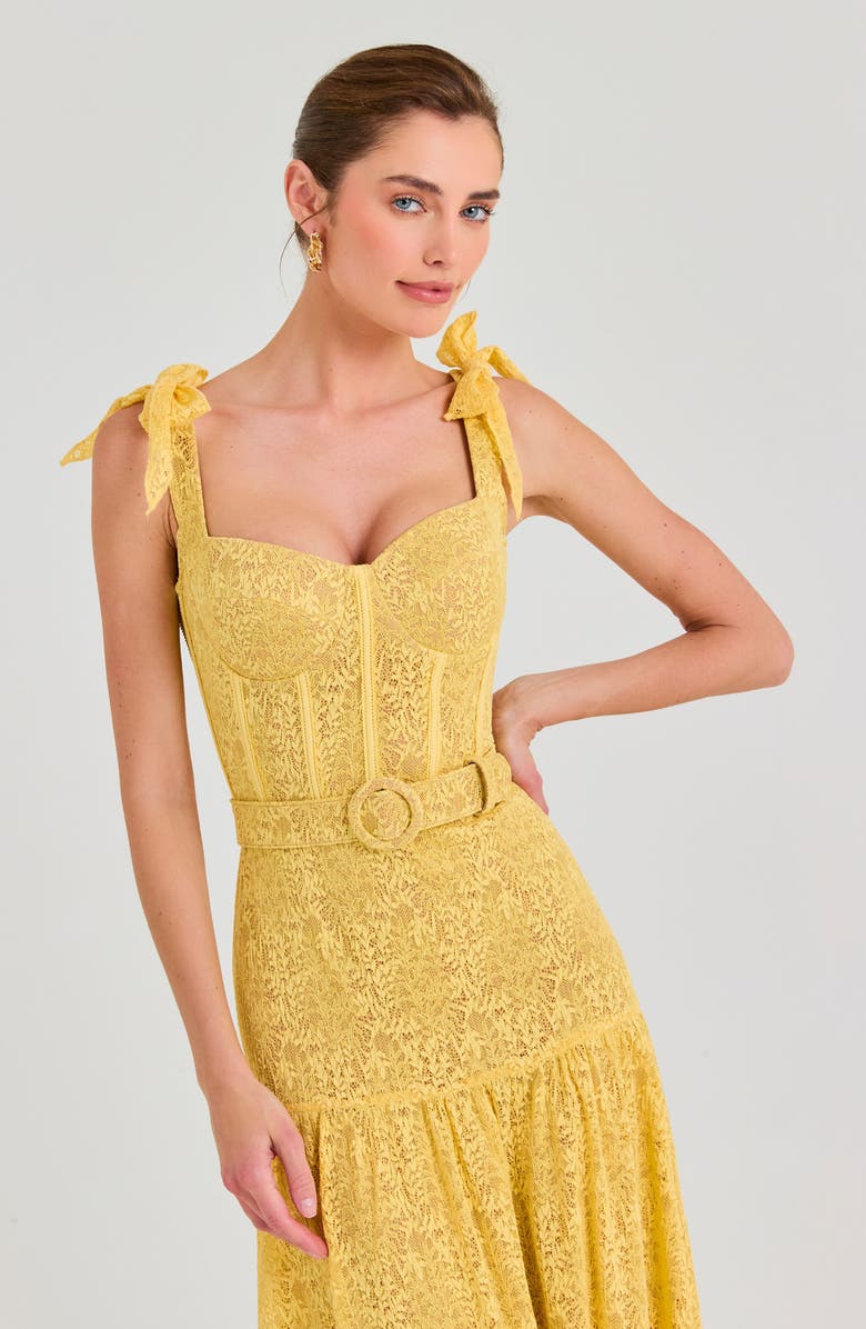 NADINE MERABI Miranda Belted Gown, Alternate, color, Yellow