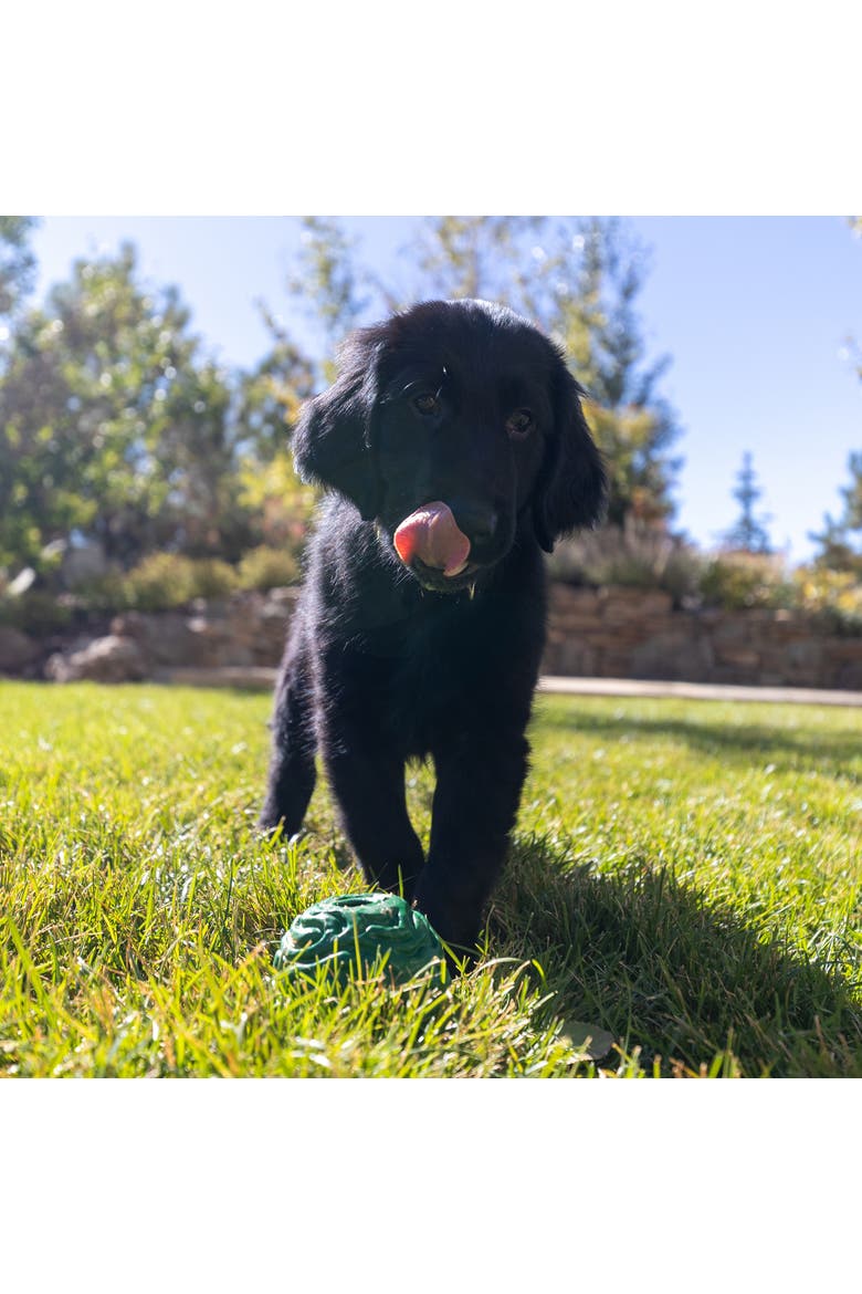 Luna Ball, 4 Inches, Large, Green, Dog & Puppy Toy, Alternate, color, Green