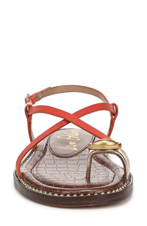 Sam Edelman Tenly Toe Loop Sandal In Orange Sunrise/amber Gold