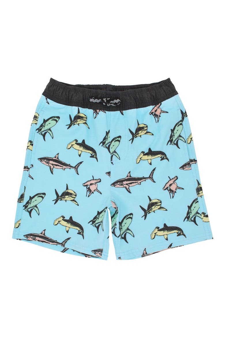 Kids' Sea Kings Swim Trunks, Main, color, CBL