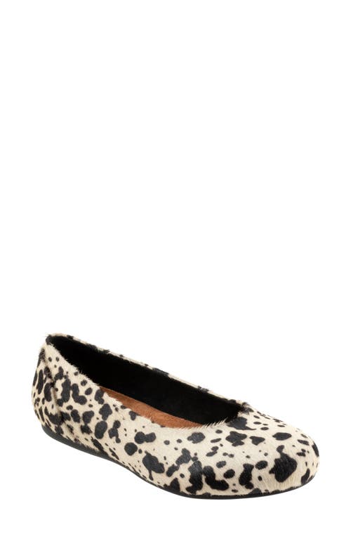 Softwalk ® Sonoma Genuine Calf Hair Flat In Animal Print