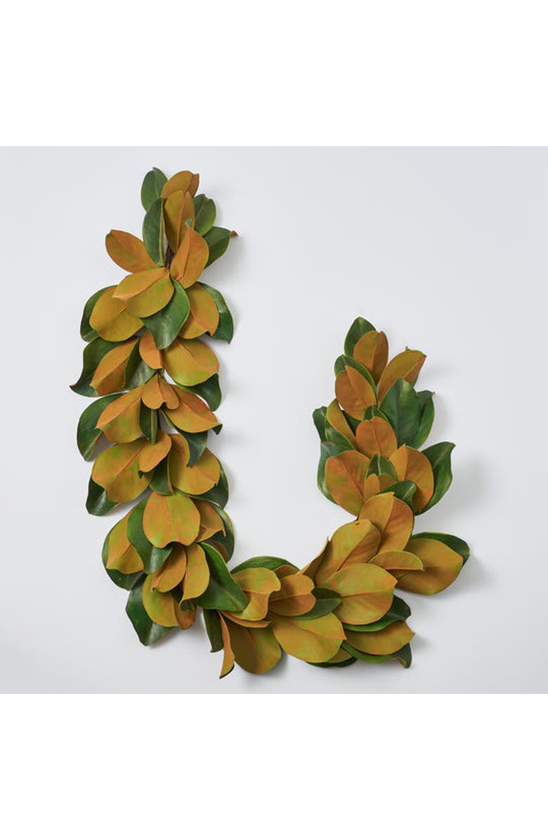 Darby Creek Trading Real Touch Magnolia Leaf All Seasons Outdoor Hanging Front Door Garland, Main, color, Green