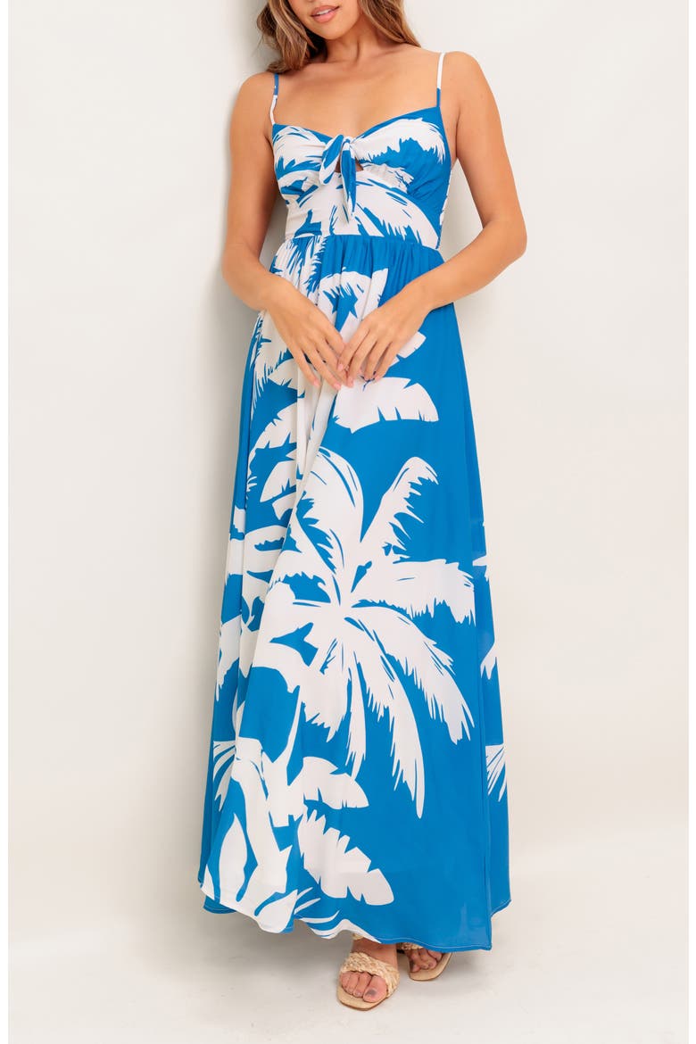 Frond Tie Front Maxi Dress, Alternate, color, NAVY/ WHITE