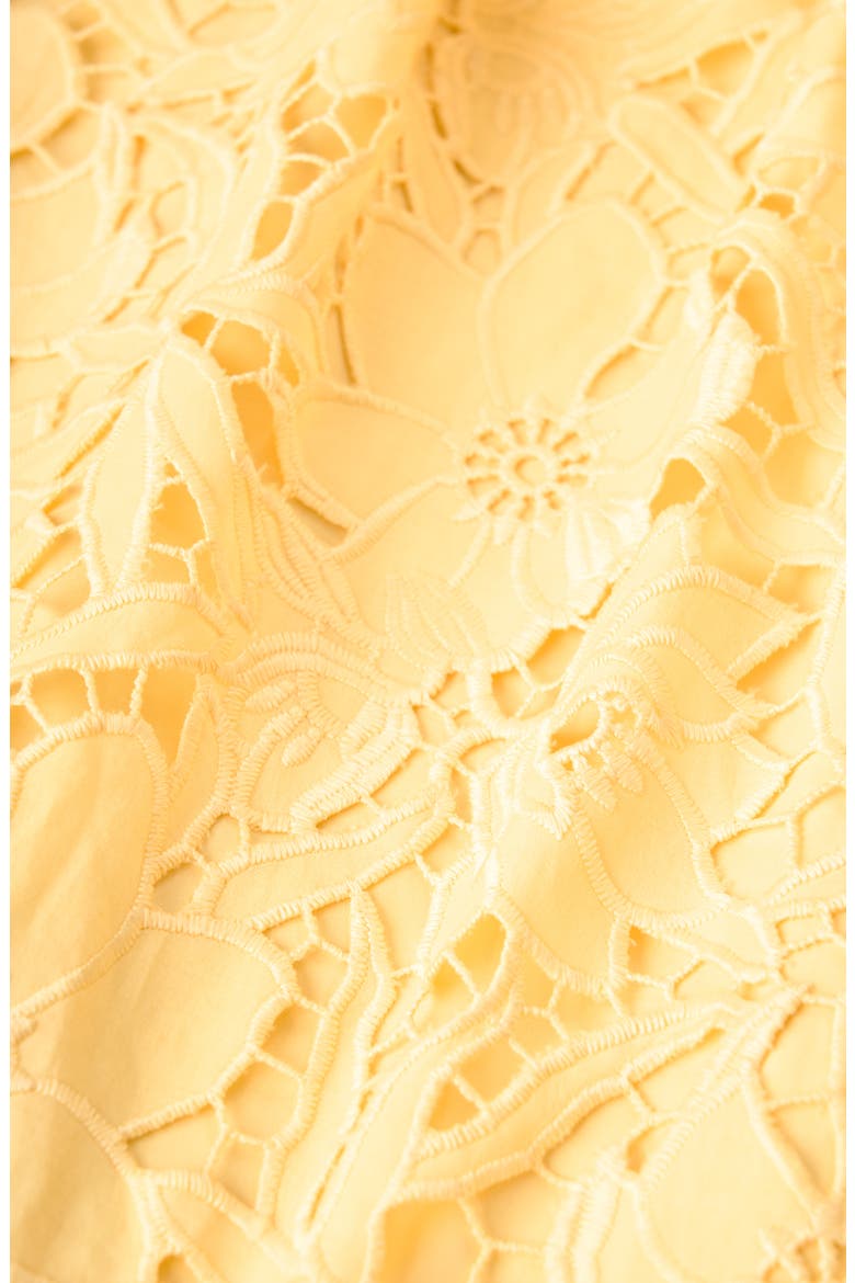Micah Lace Embroidered Button-Up Top, Alternate, color, CREAMED CORN