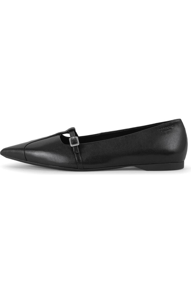 Vagabond Shoemakers Hermine Pointed Toe Mary Jane Flat, Alternate, color,