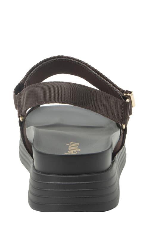 Alegria By Pg Lite Allyson Platform Sandal In Brown