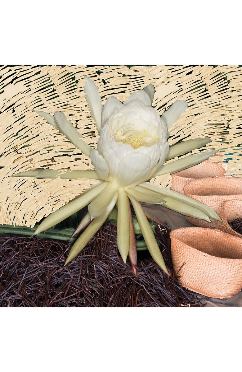 BYREDO Vanille Antique Parfum Extract, Alternate, color, 