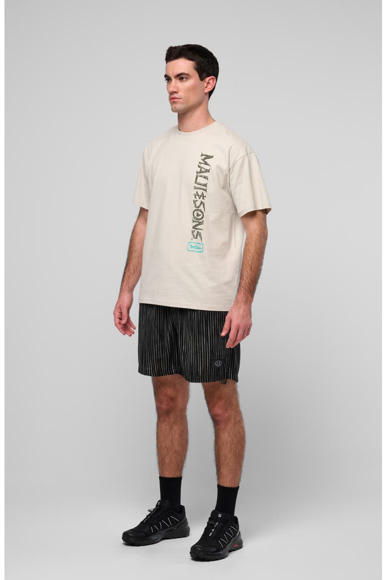 Fossil Boxy Fit Cotton Graphic T-Shirt, Alternate, color, CEMENT