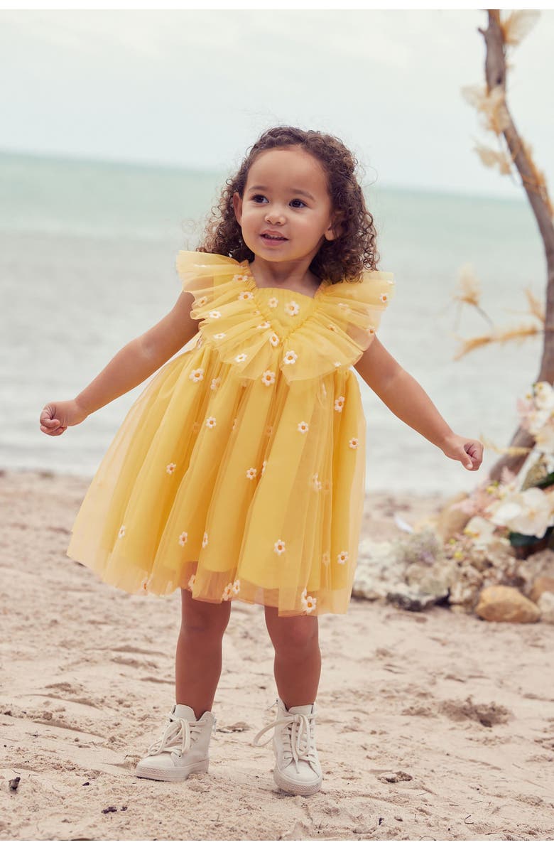 NEXT Kids' Daisy Mesh Dress, Alternate, color,