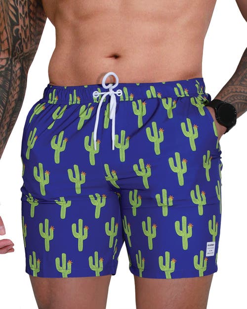 Mosmann Australia Board Shorts In Blue