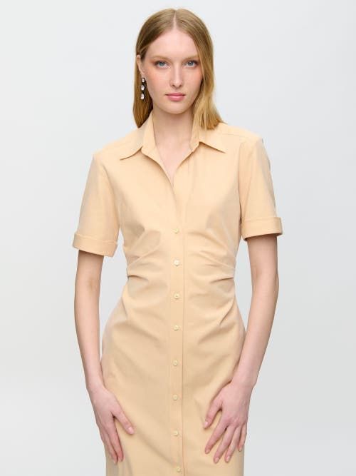Callas Milano Lou Fitted Shirt Dress In Orange