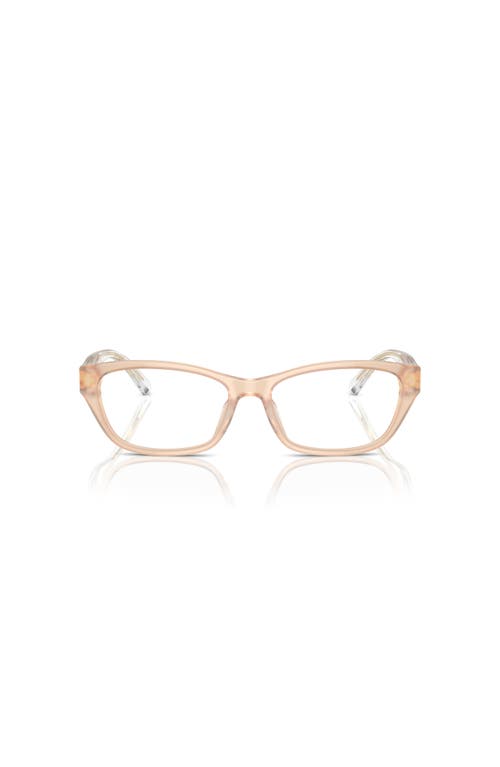 Emporio Armani 52mm Cat Eye Optical Glasses In Orange