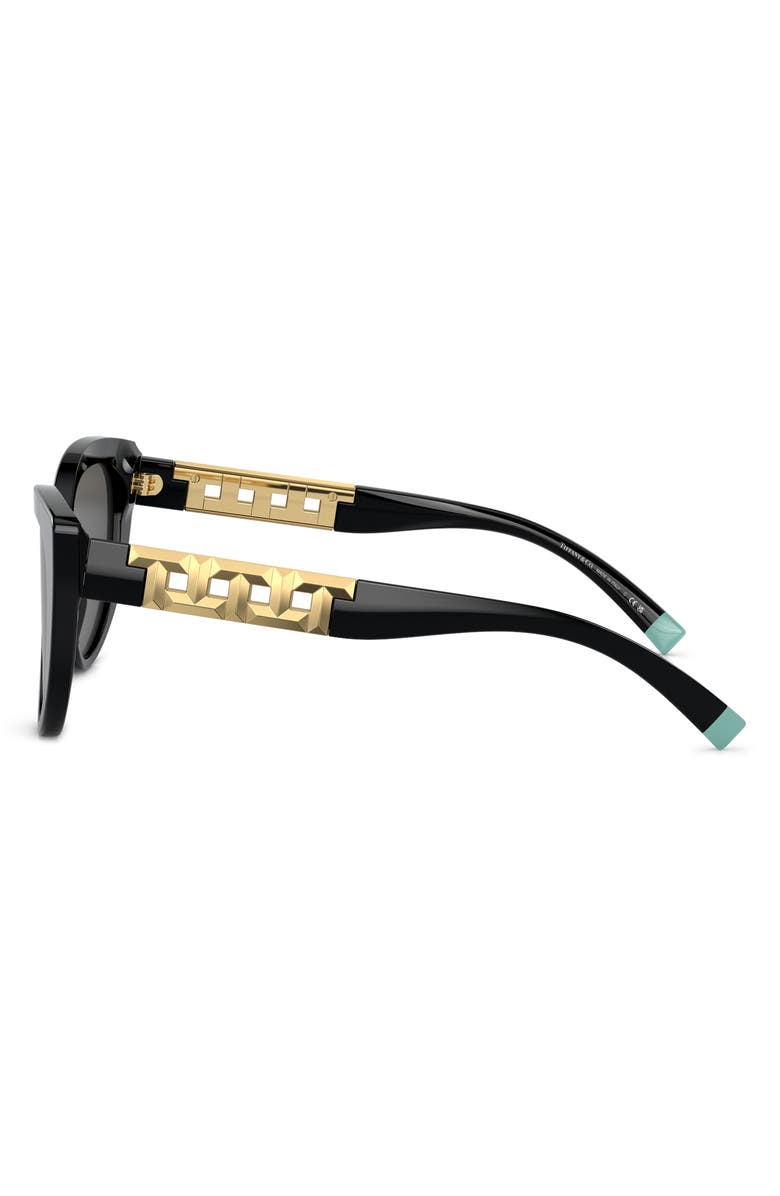 Tiffany & Co. 56mm Cat Eye Sunglasses, Alternate, color, 