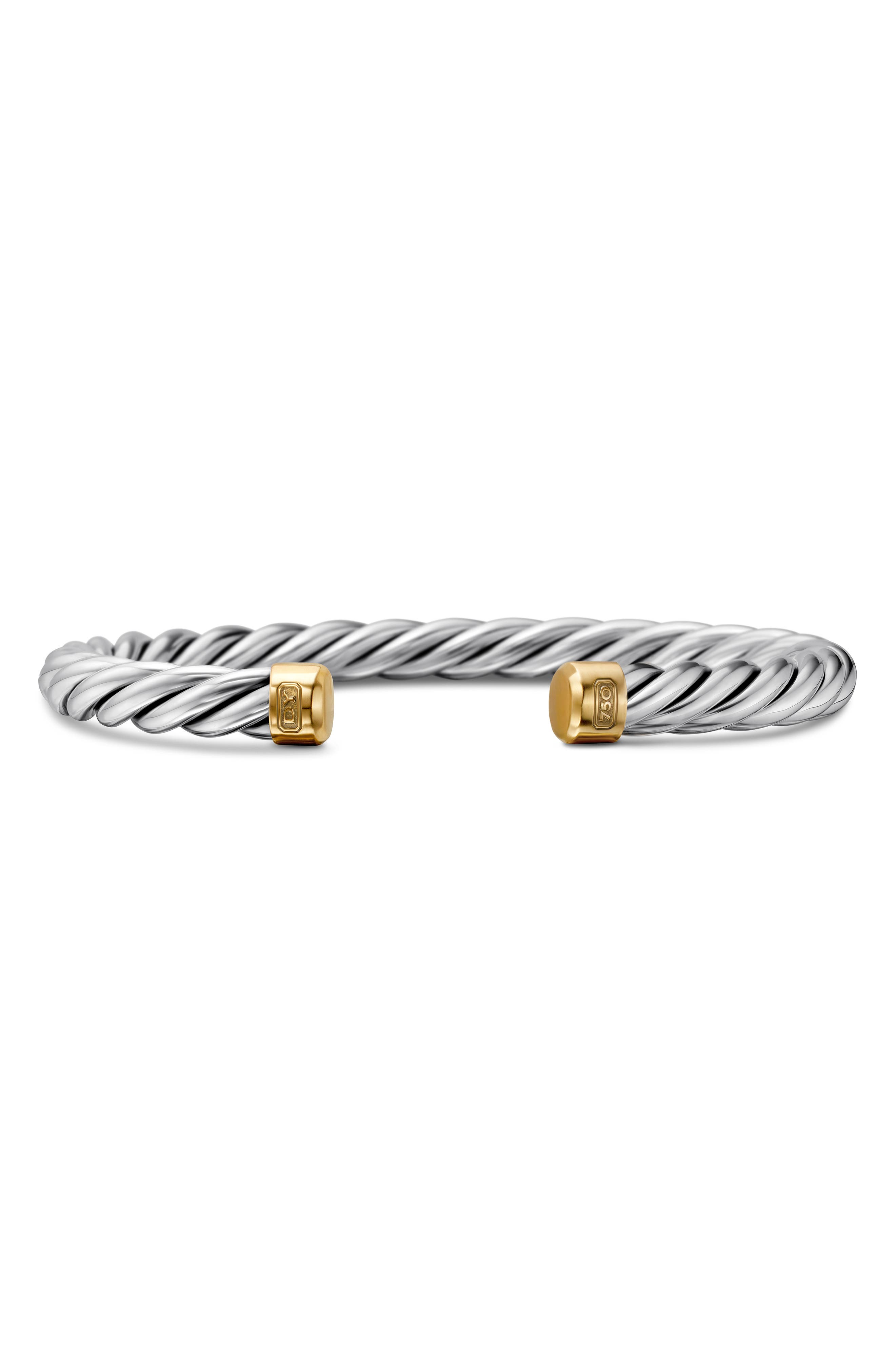 selected SILVER/ GOLD