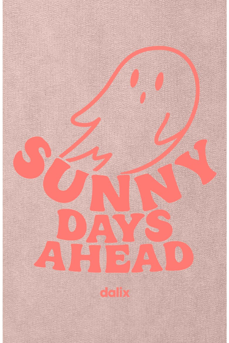 Womens Sunny Days Ahead Washed Hoodie, Alternate, color, Zinc