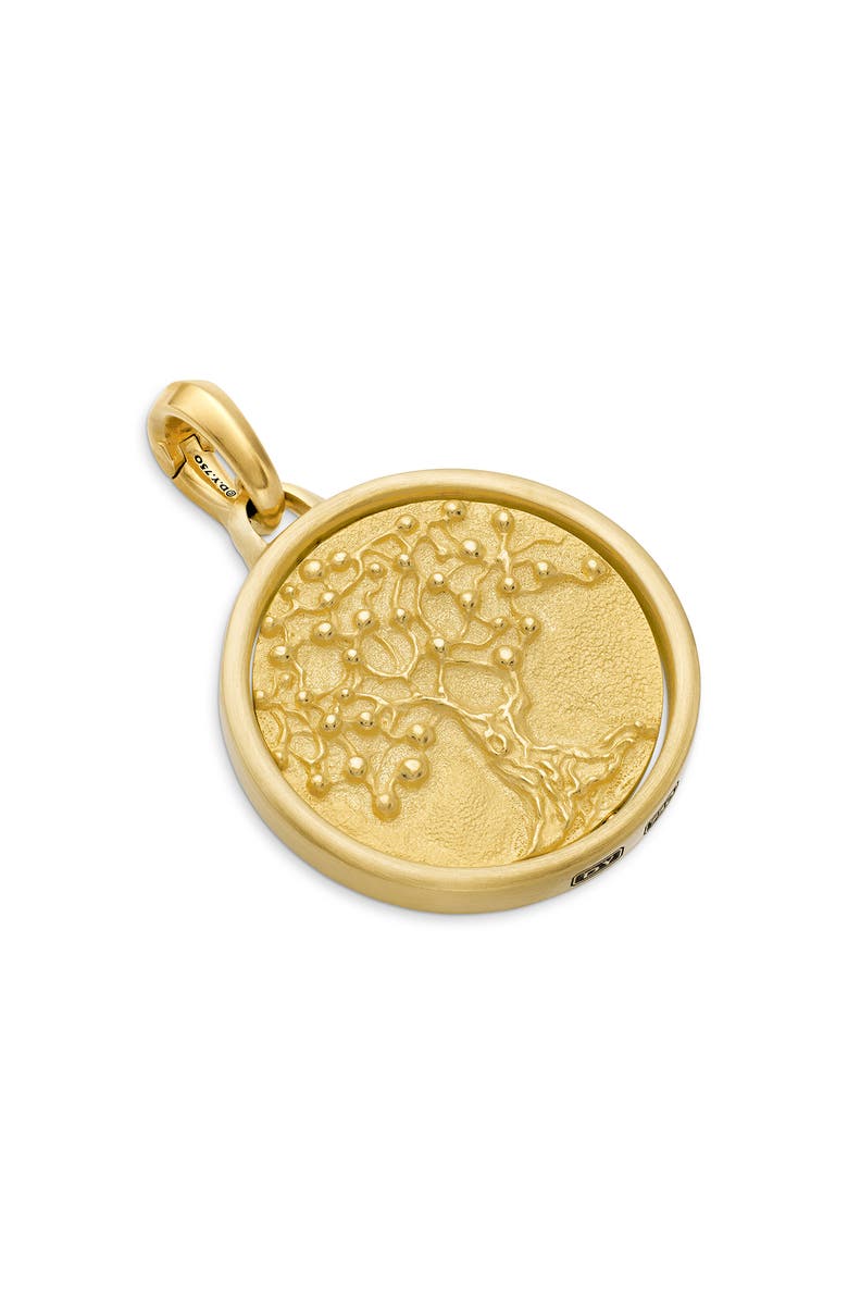David Yurman Petrvs<sup>®</sup> Life & Death Amulet in 18K Yellow Gold, Alternate, color, 18K Yellow Gold