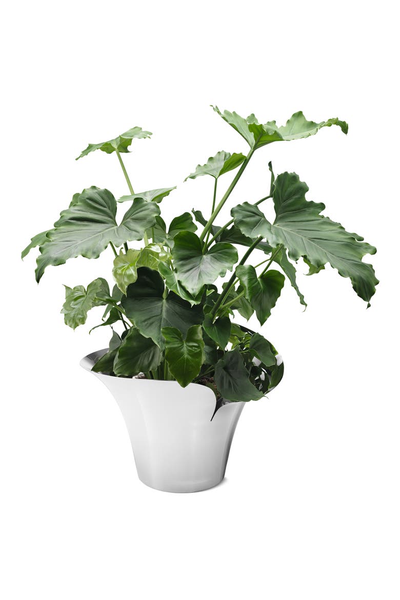Georg Jensen Bloom Botanica Bowl Flower Pot | Nordstrom