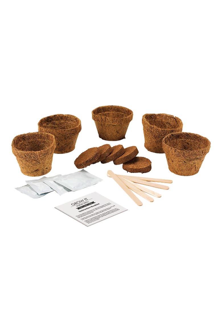 Bonsai Grow Kit, Main, color, BROWN