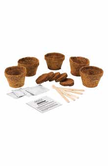 GIFT REPUBLIC Bonsai Grow Kit