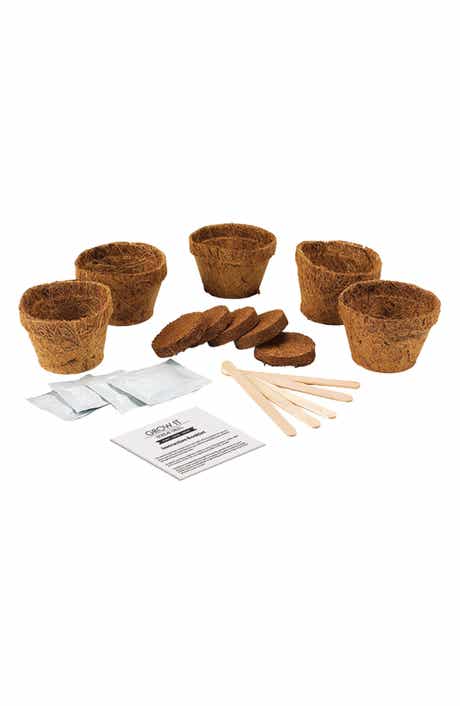 GIFT REPUBLIC Bonsai Grow Kit
