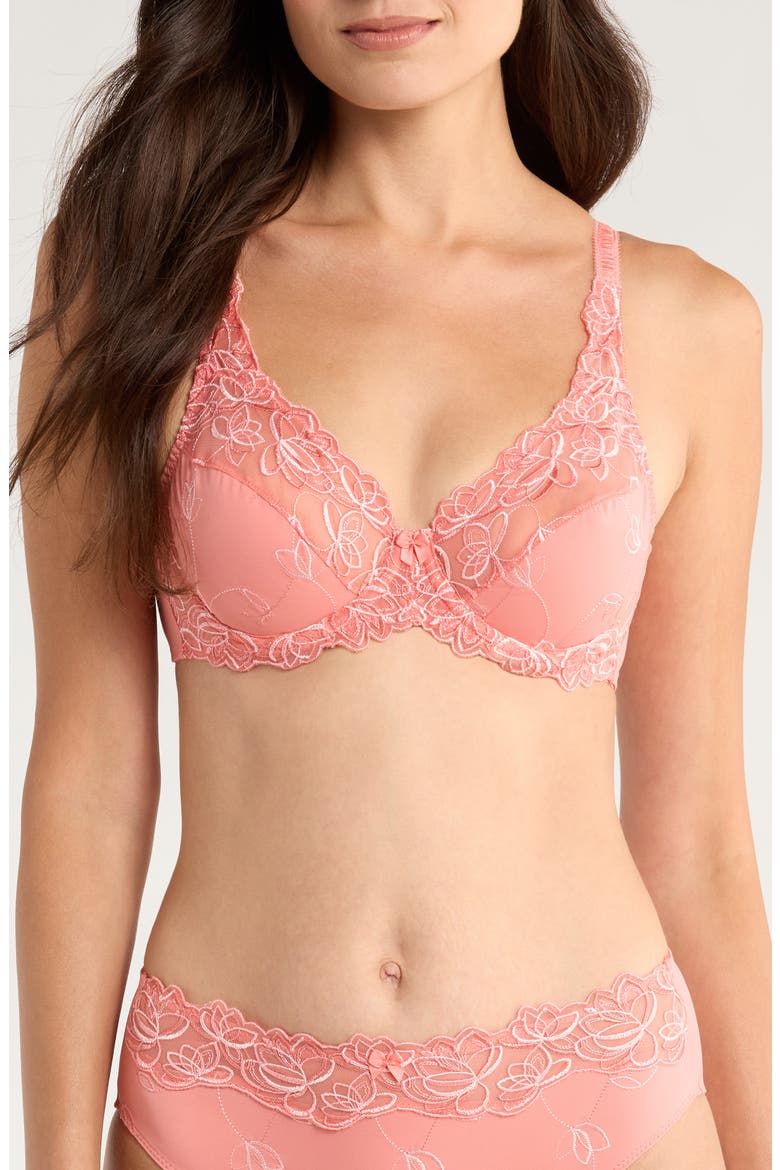 Diva Embroidered Mesh Underwire Bra, Main, color, LANTANA