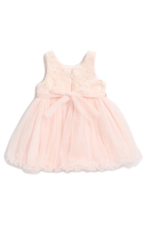 Shop American Princess Candlelight Floral Lace Dress & Bloomers