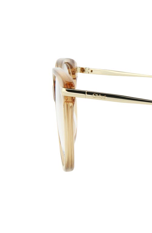Chloé Core 53mm Cat Eye Optical Glasses In Brown Gold Transparent