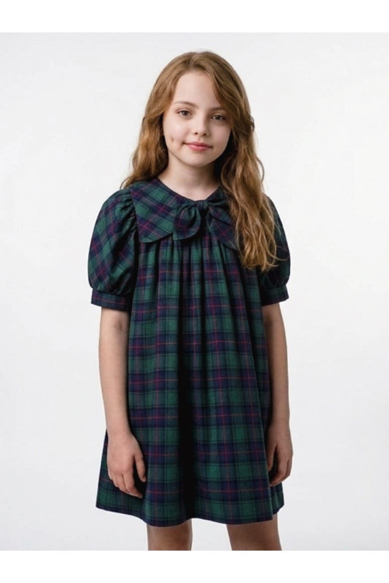 Rosemoor Dress, Alternate, color, Green Tartan