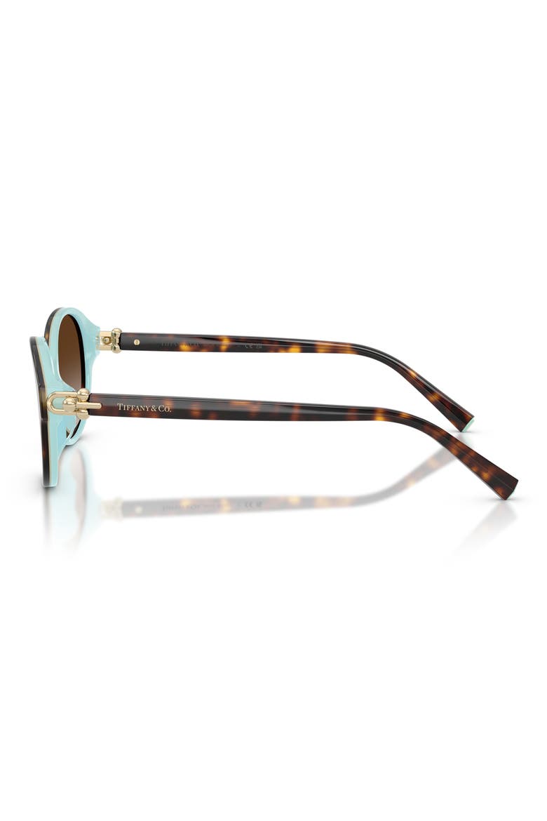 54mm Round Sunglasses, Alternate, color, HAVANA ON TIFFANY BLUE / BROWN