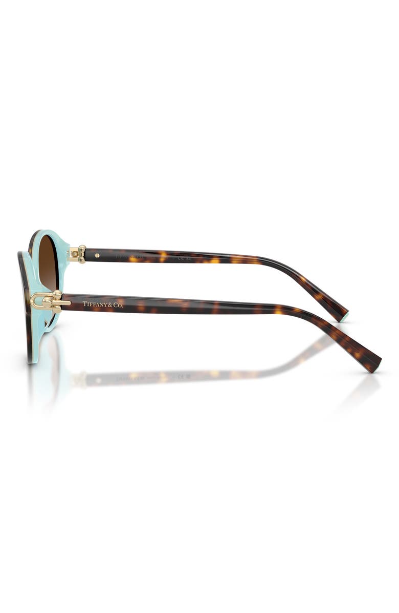 Tiffany & Co. 54mm Round Sunglasses, Alternate, color, Havana On Tiffany Blue / Brown