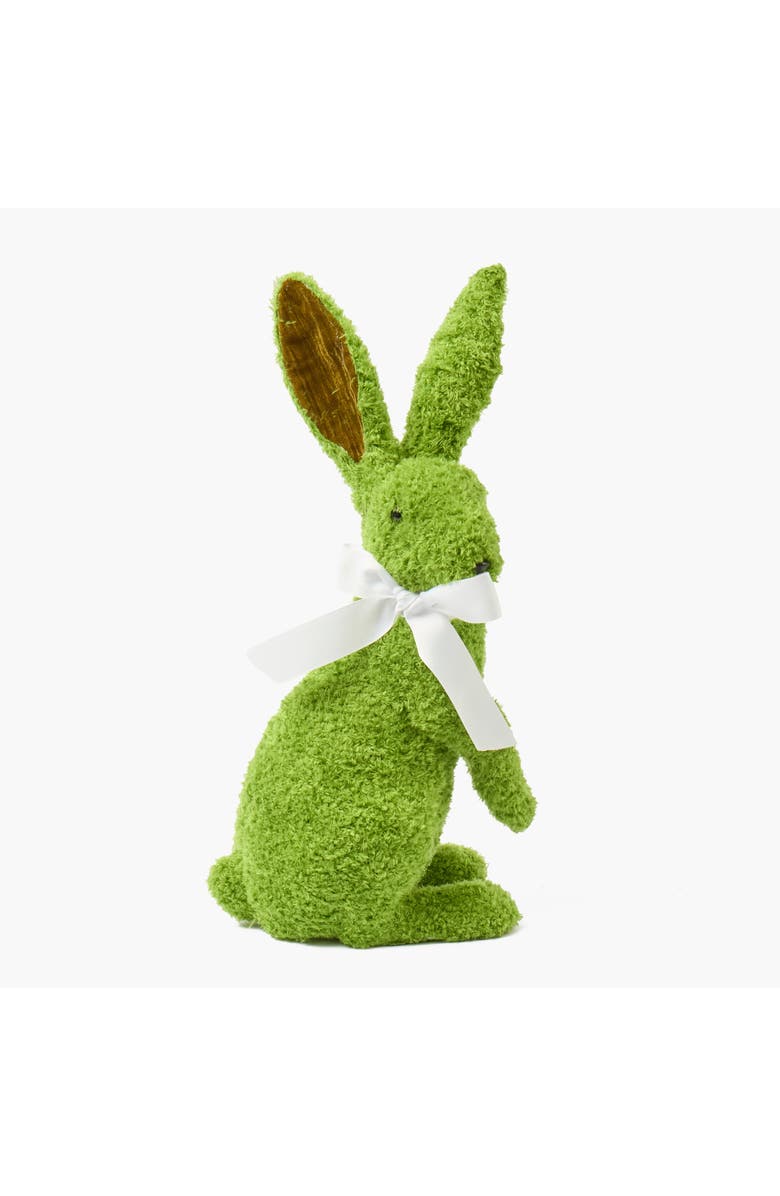 Mrs. Alice Gina the Giant Rabbit, Main, color, 