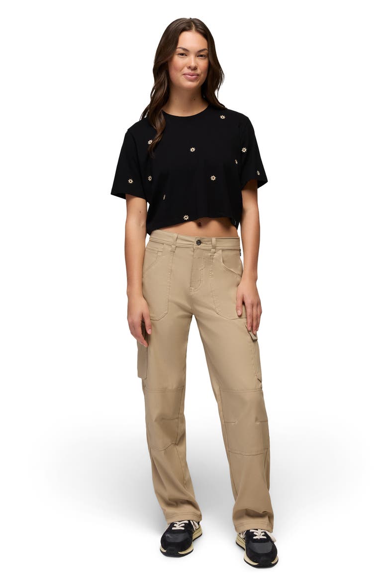 Daisy Embroidered Crop Top, Alternate, color, BLACK