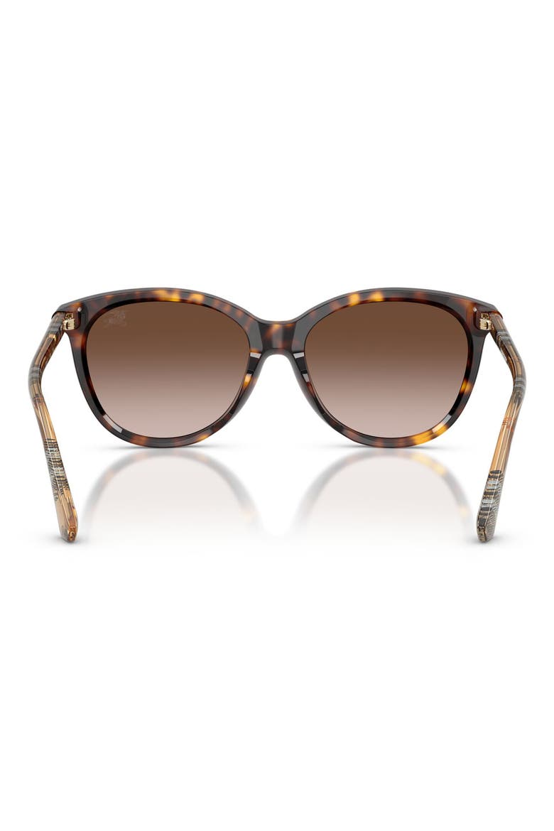 55mm Phantos Sunglasses, Alternate, color, DARK HAVANA / BROWN GRADIENT