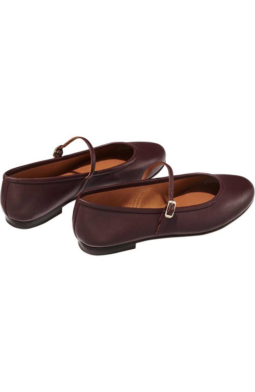 Margaux The Demi Jane In Purple