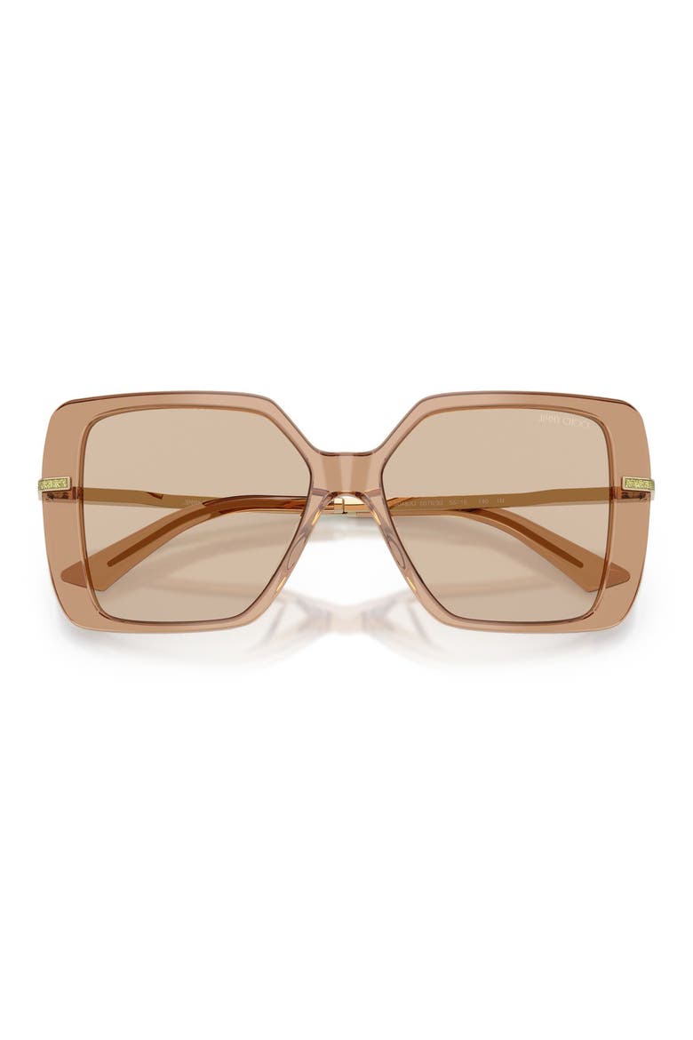 Pati 55mm Square Sunglasses, Alternate, color, TRANSPARENT TAN / LIGHT BROWN