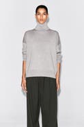 COS Merino Wool Roll-Neck Sweater
