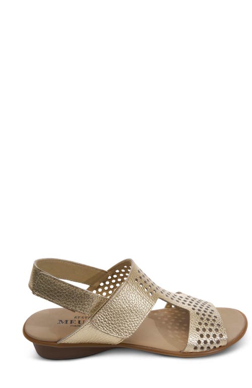 Sesto Meucci Elicia Slingback Sandal In Platino
