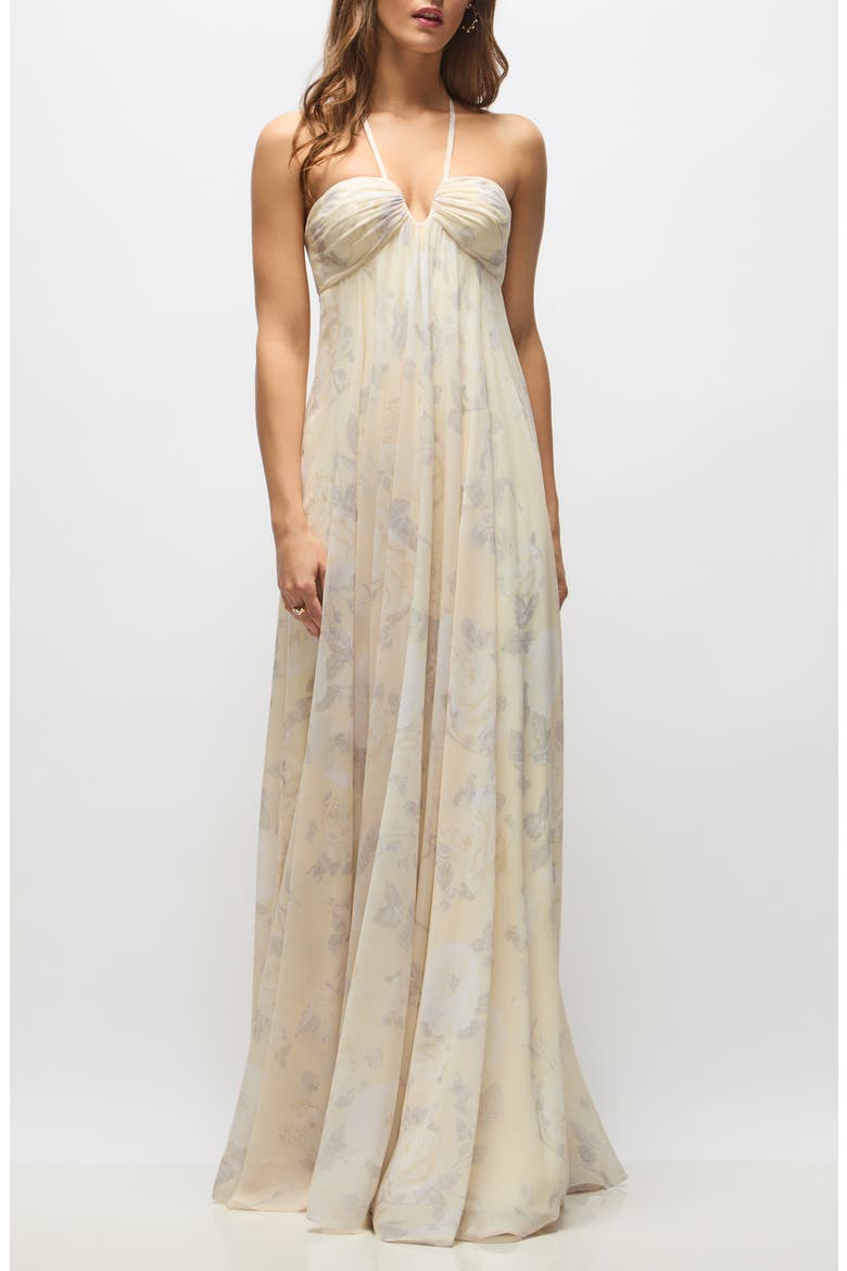 Lilith Floral Chiffon Gown, Alternate, color, BUTTER YELLOW FLORAL